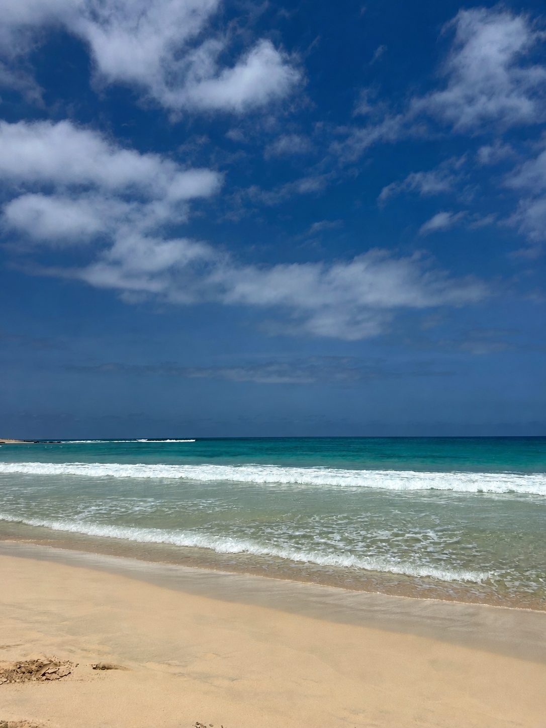 La plage et les vagues
