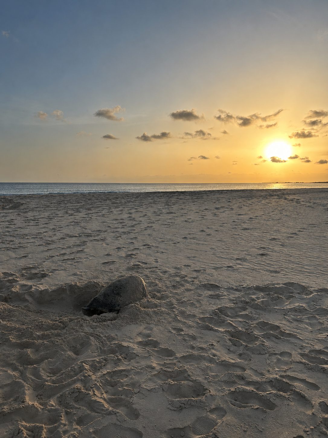 Coucher de soleil sur la plage