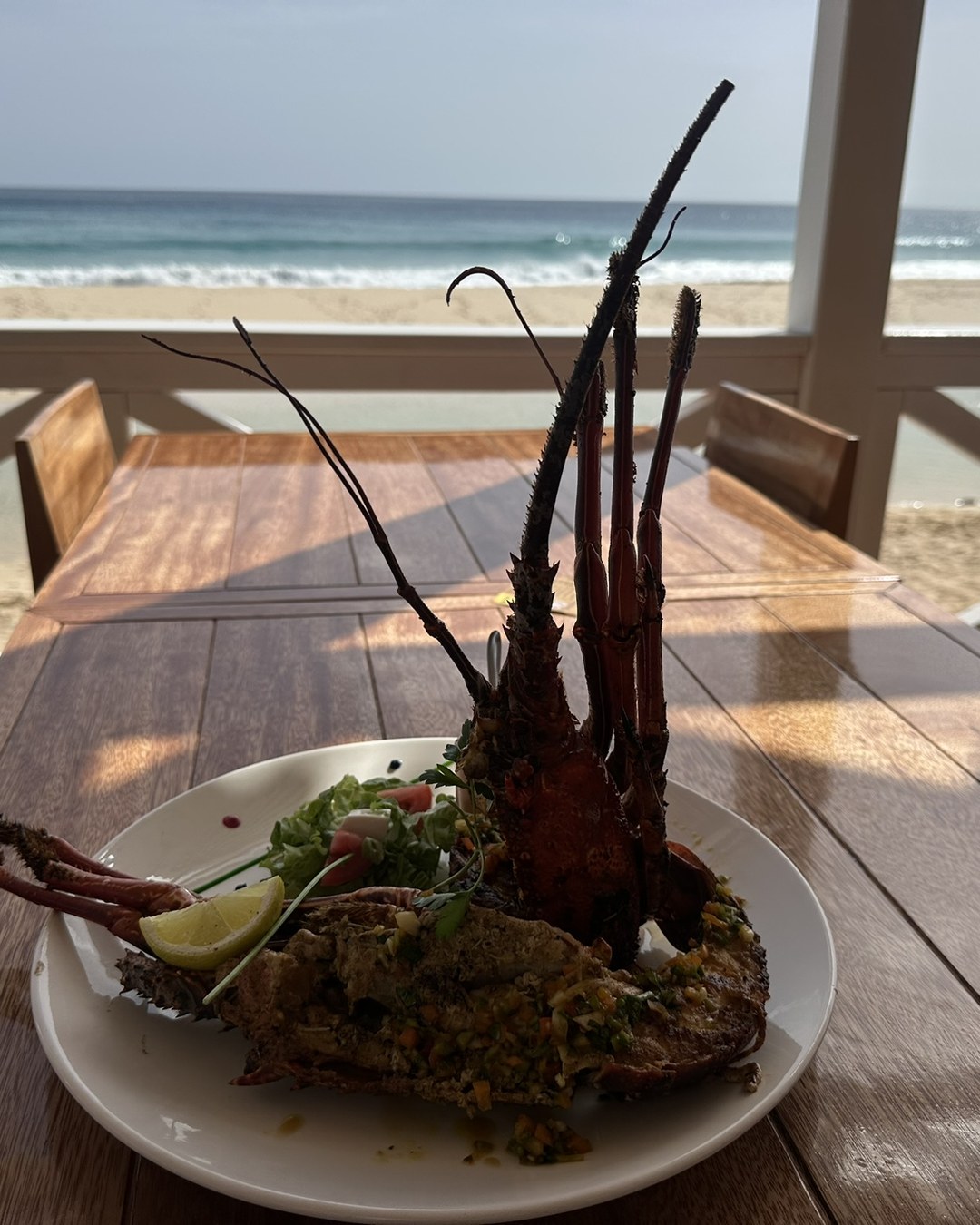 Langouste fraîche de Santa Monica